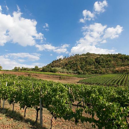 Villa Rosano Greve in Chianti Bagian luar foto